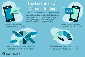 stock options for dummies
