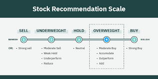 stock overweight meaning
